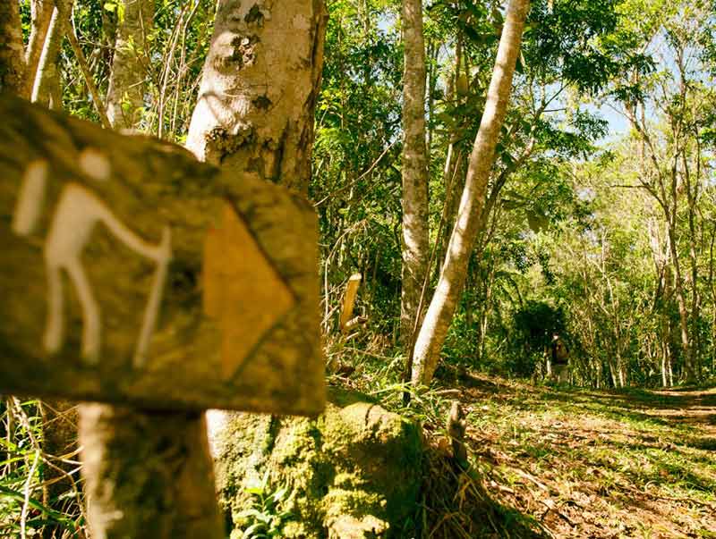 montaña la mensura1
