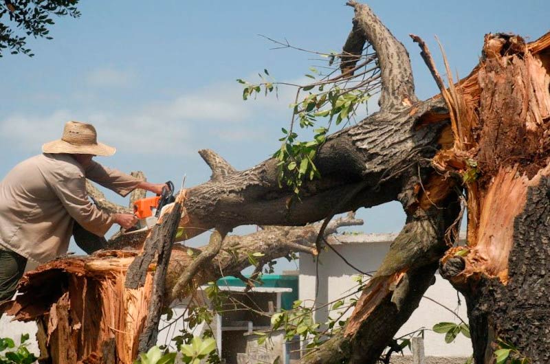 Riesgos semana meteoro