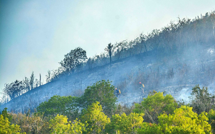 incendios JPC 2