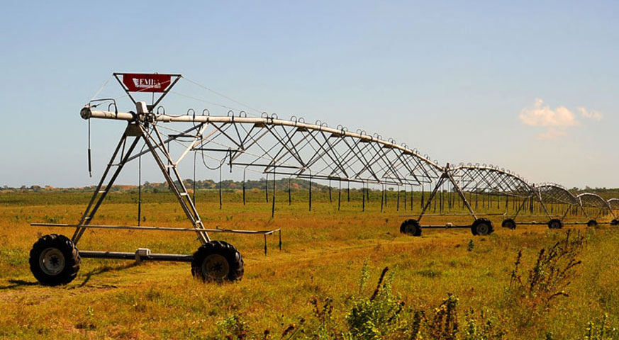 mayari agricultura 