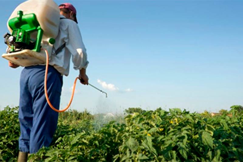 producción agricultura medios biológicos 1