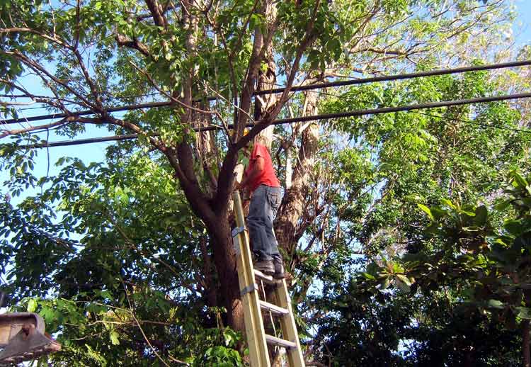 riesgos meteoro 2021