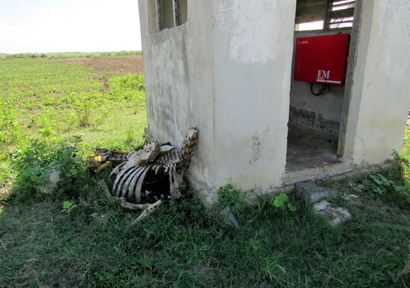 Mayarí recorrido ATH 2