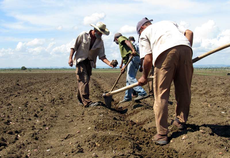 Mayarí recorrido ATH 8