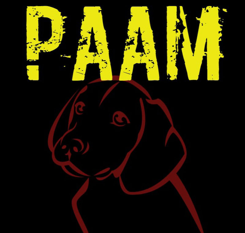 PAAM Moa 2