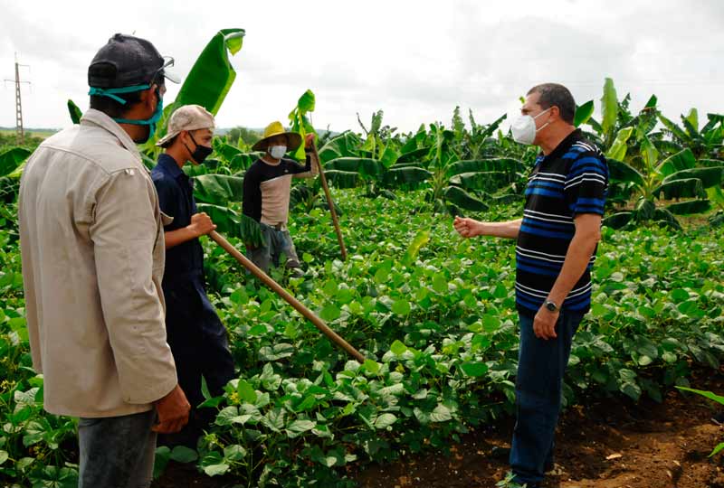 báguanos recorrido ELA 5
