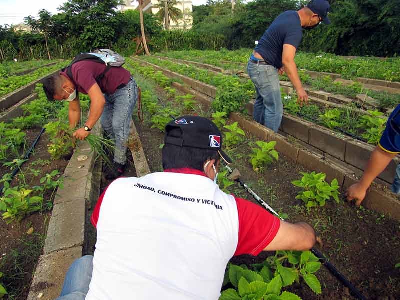 Trabajo voluntario ATH 2