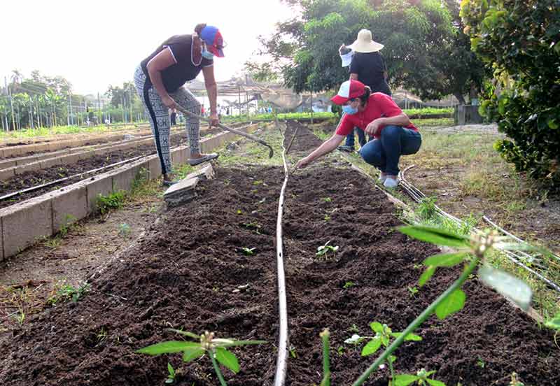 Trabajo voluntario ATH 3