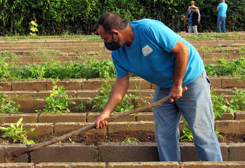 Trabajo voluntario ATH 4
