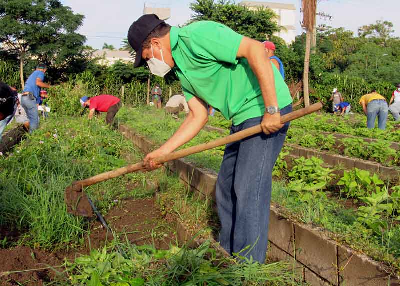 Trabajo voluntario ATH 5