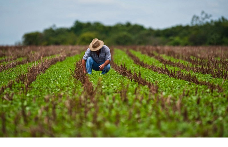 agricultura conCiencia