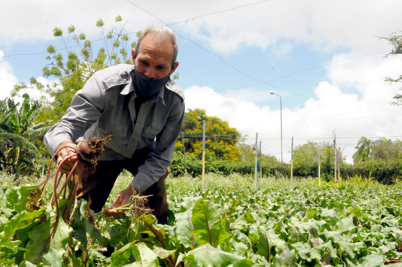 agroecologia 2