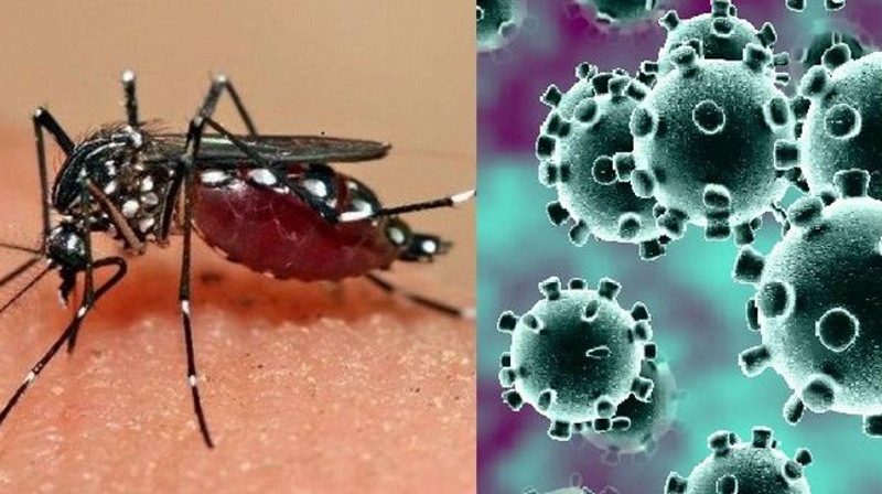 Fotos: ACN COVID 19 dengue