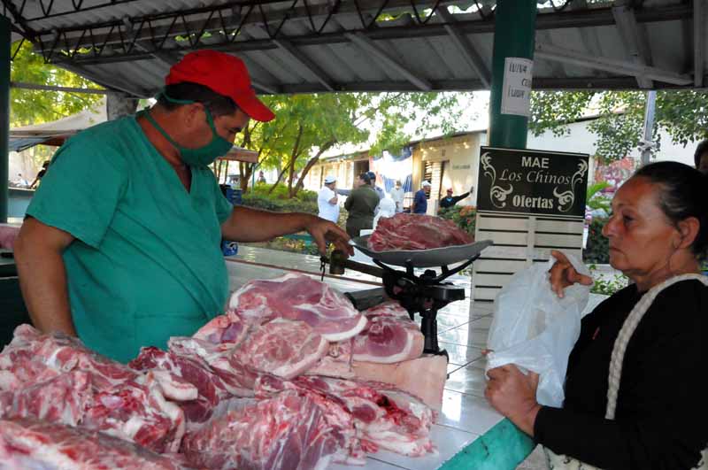 Feria Agropecuaria3
