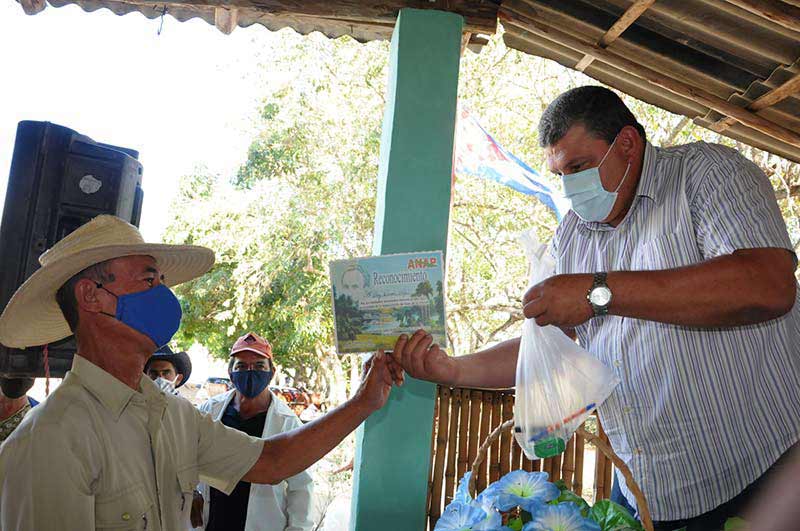 En varios espacios se ha reconocido la labor y entrega del campesino holguinero. Foto: Elder Leyva anap calixto garcia ELA 5
