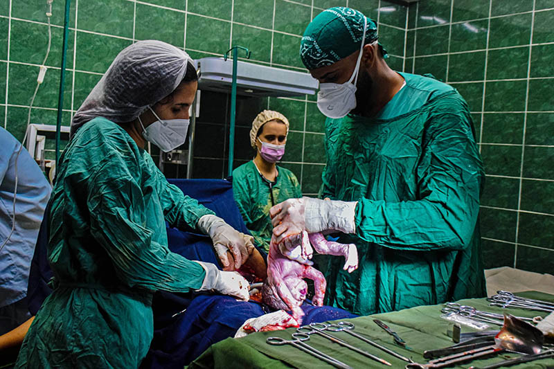 día medicina 03