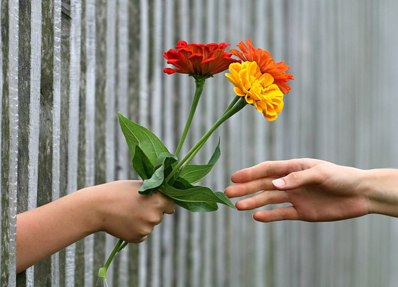 galantería flores