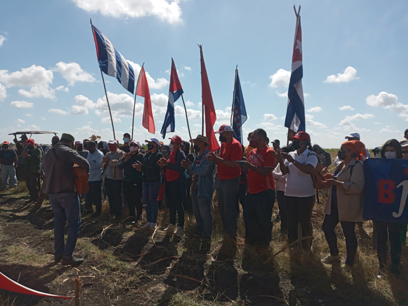Holguin trabajovoluntario 2