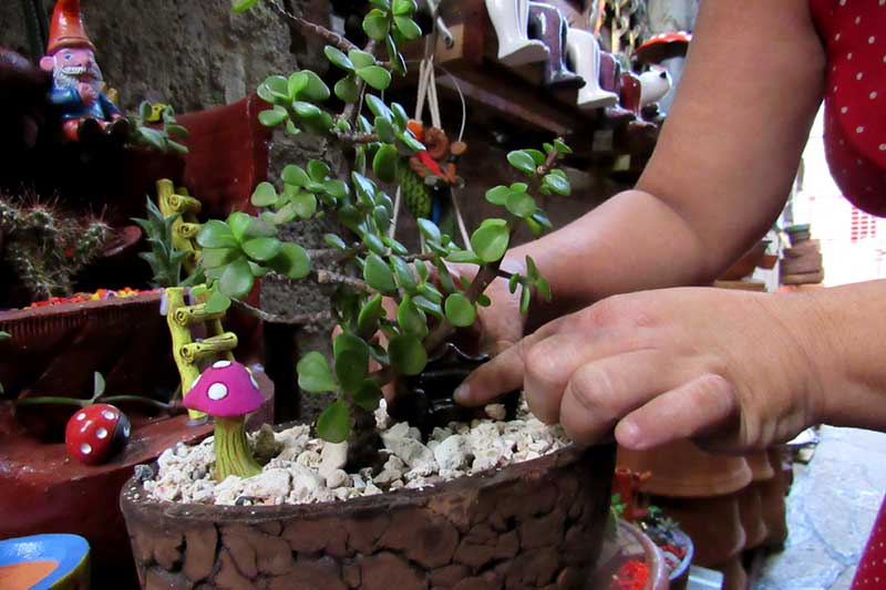 Lety jardin ATH 101