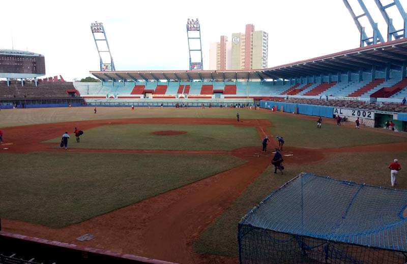 cachorros entrenamiento covid 19 1
