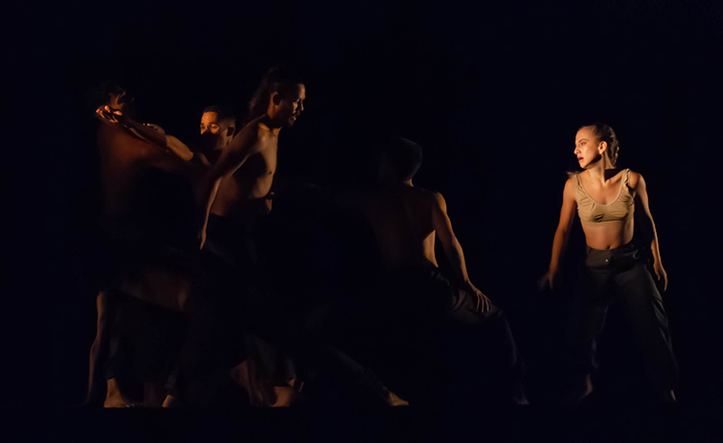 codanza estreno R nápoles 5