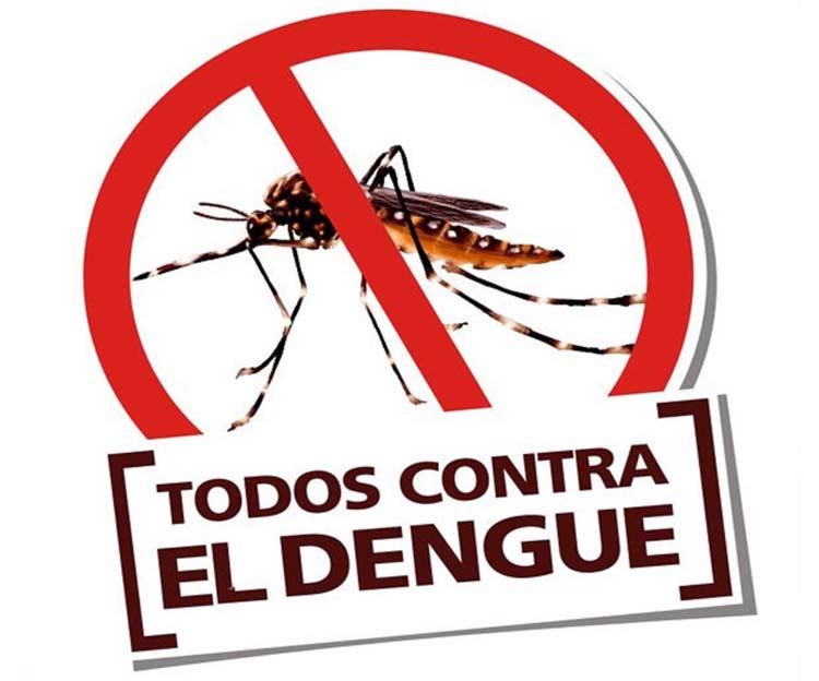 dengue 2