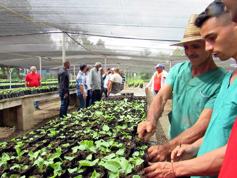 holguín visita partamentaria ATH 01