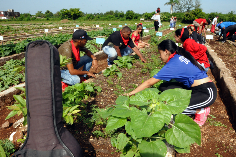 jovenes trabajo1