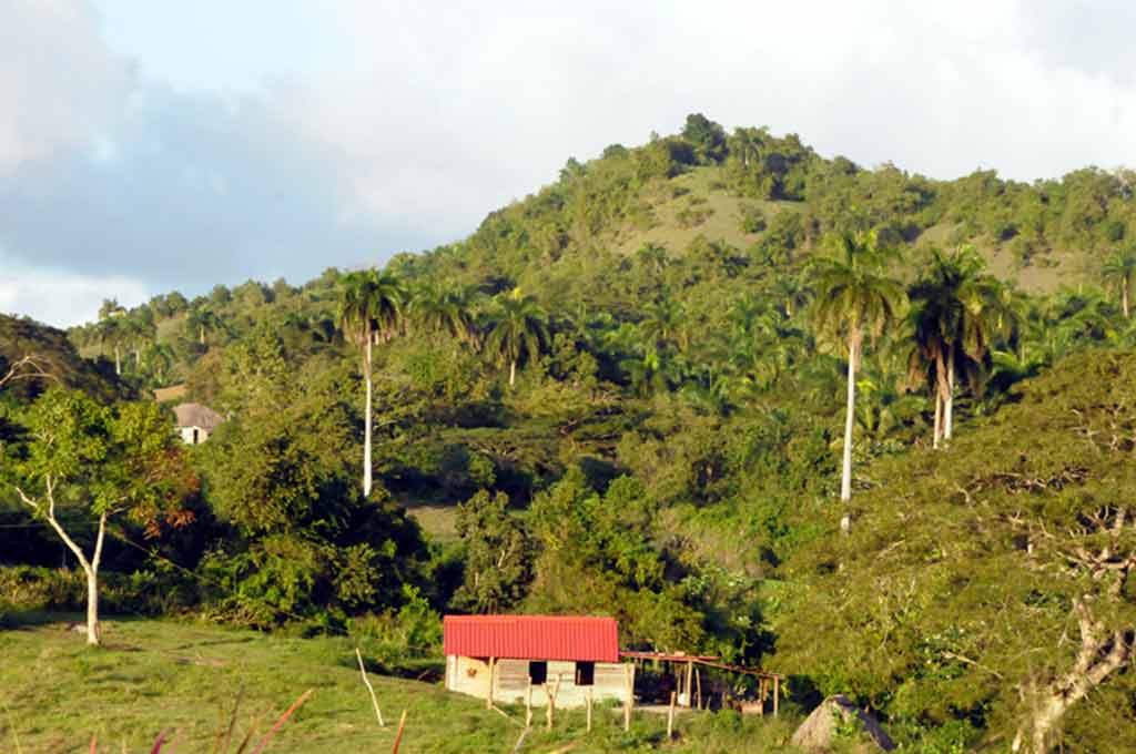 Sagua riqueza natura ELA 01