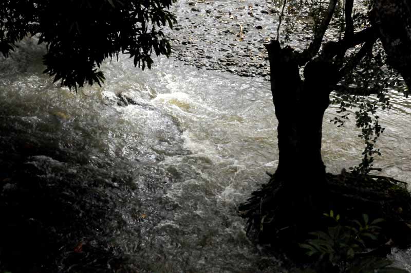 Sagua riqueza natura ELA 02