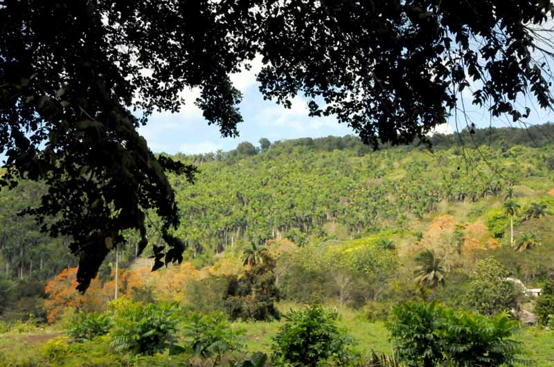 Sagua riqueza natura ELA 03