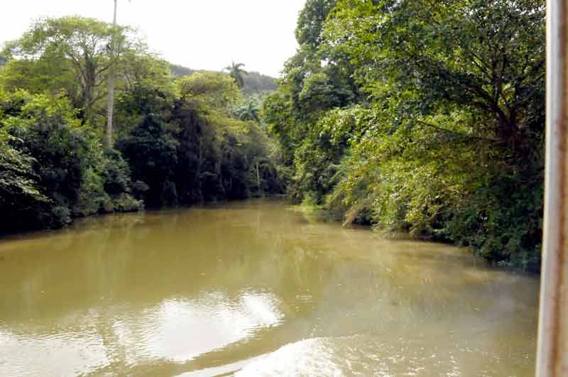 Sagua riqueza natura ELA 08
