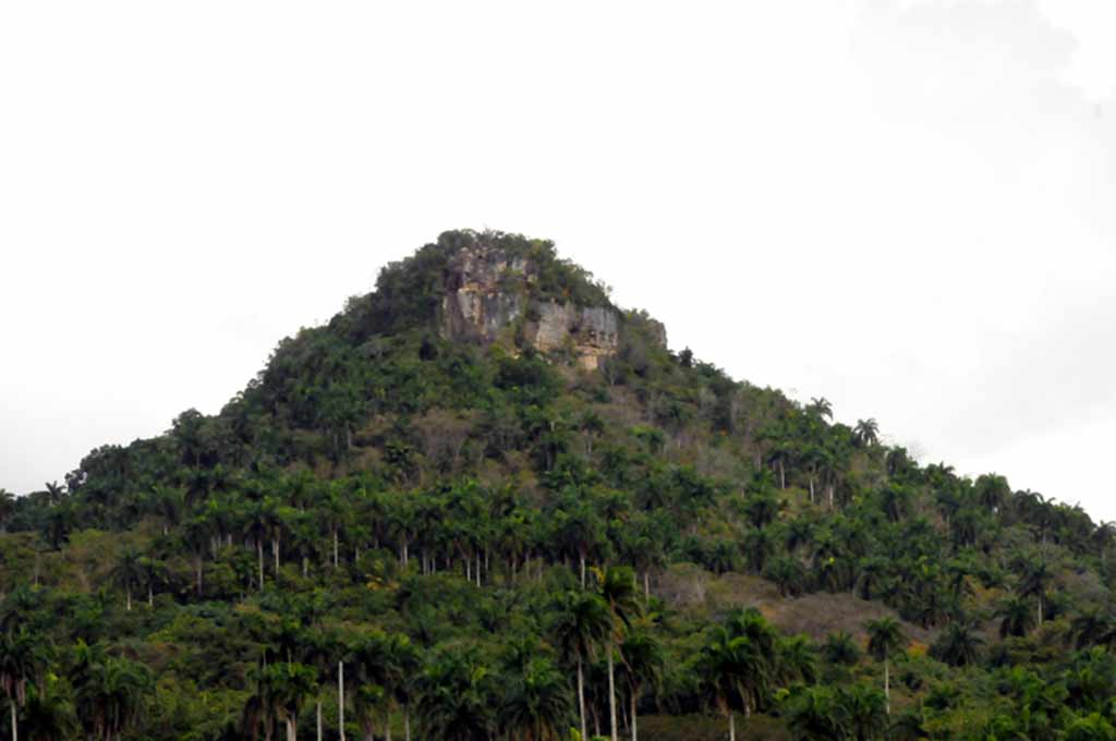 Sagua riqueza natura ELA 10