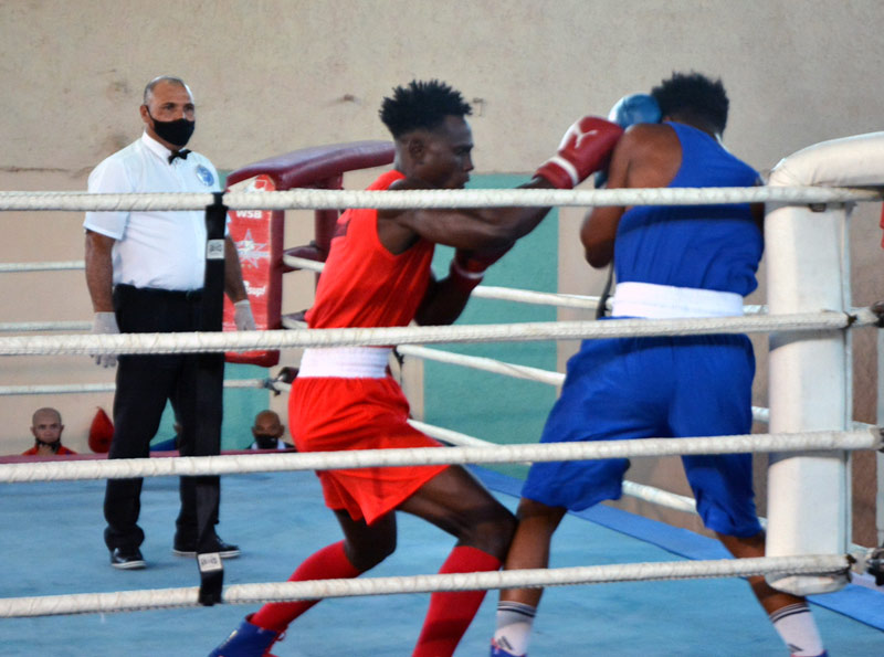 boxeo hg 2022