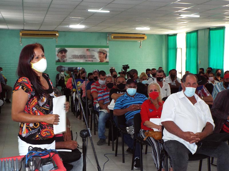 pleno anap 2