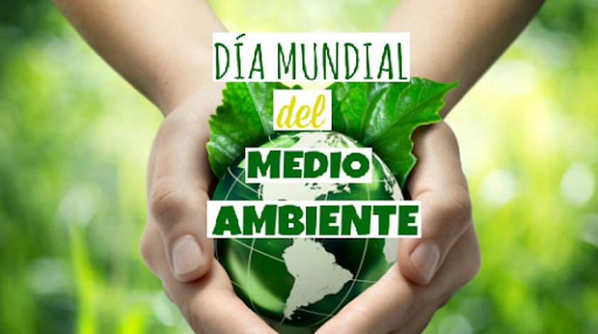 0604 medio ambiente1