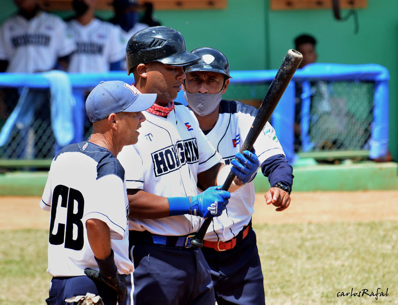 aballe cachorros