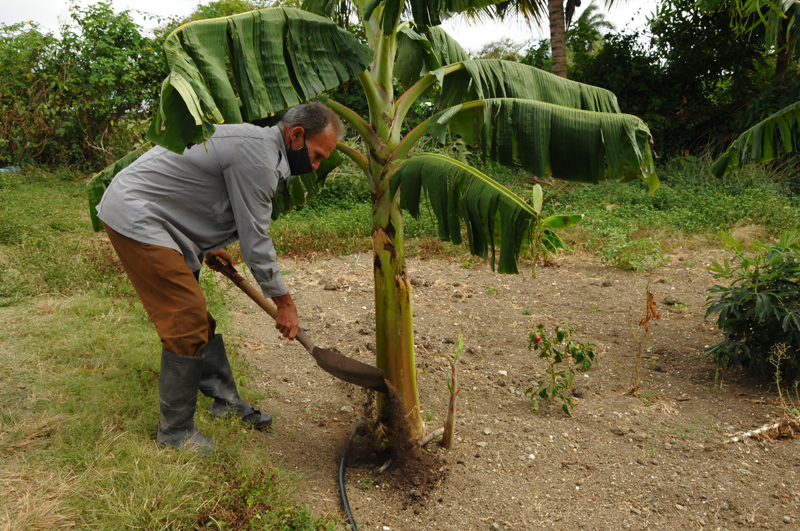 agroecologia 3
