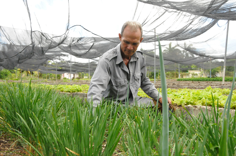 agroecologia1