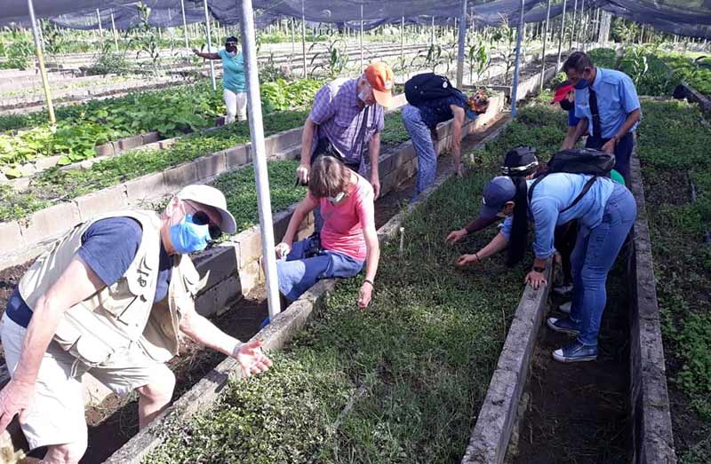 brigada solidaridad 3