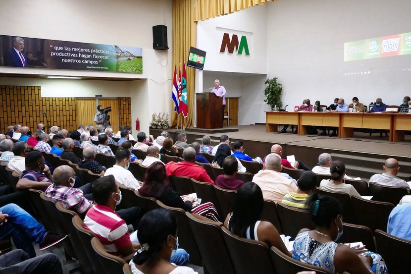 produccion alimentaria