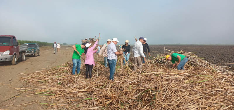 trabajo voluntario 01