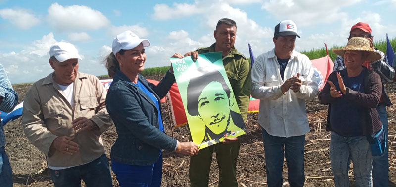 trabajo voluntario revolución 05