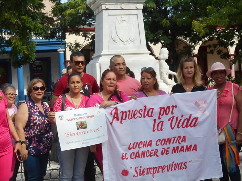Siemprevivas 03