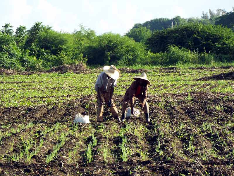 beola autoridades visita 1