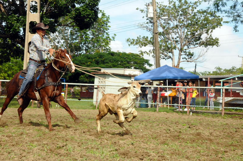 feriaagropecuaria1