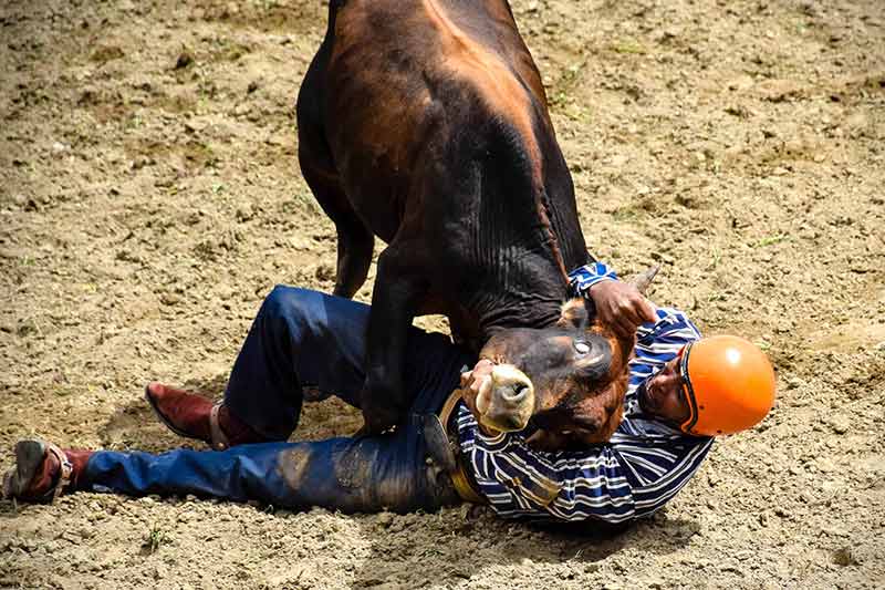 hcs rodeo 002