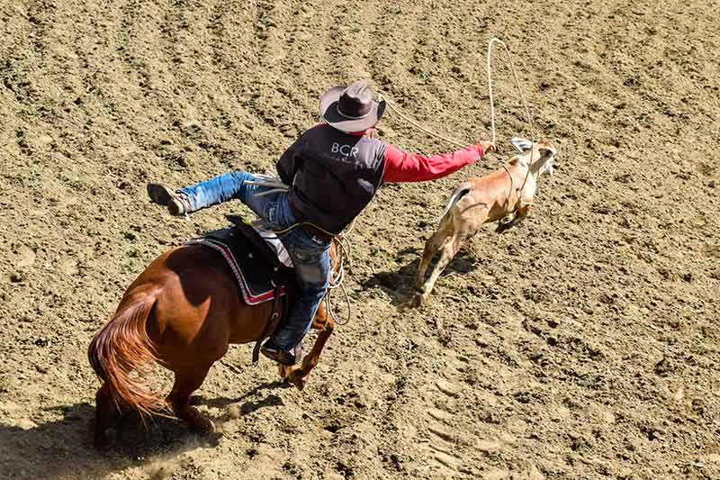 hcs rodeo 004