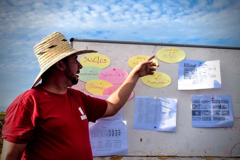 hcs campañadefrio 01