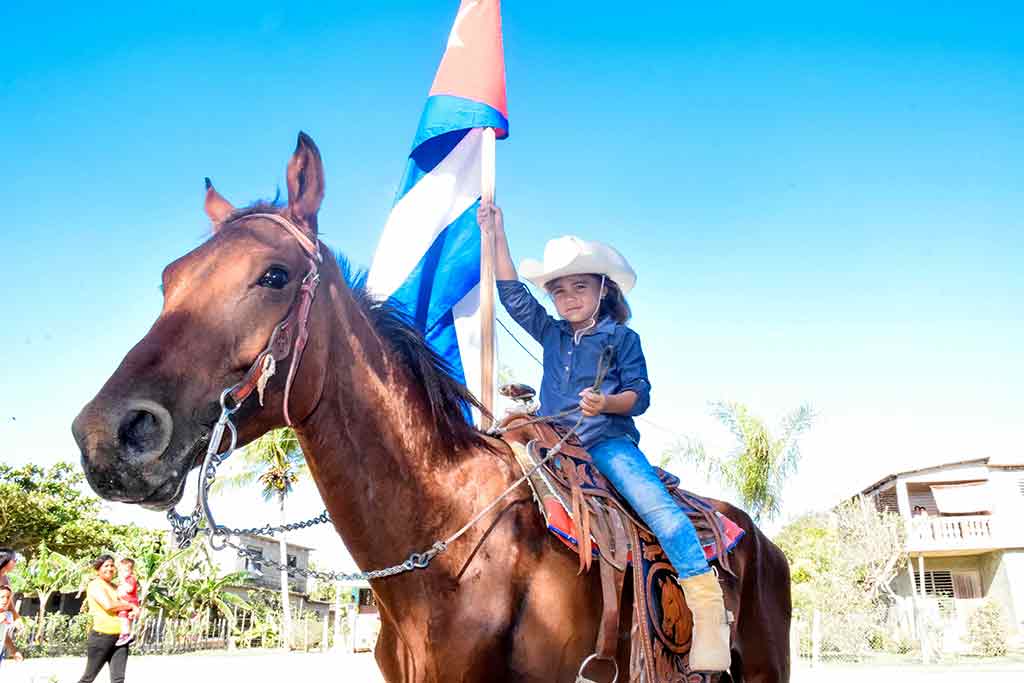 Verbenas Güirabito HCS 4